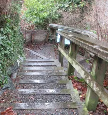 View down the staircase showing wooden handrails and a plywood retaining wall