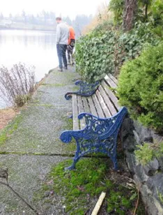 Two people walking along a concrete shoreline walkway