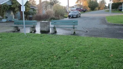 View west from Midwood Shoreline Access
