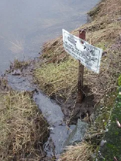 On shoreline behind 1 Midwood Rd. Area to remain untouched as per CRD water quality consultant, Sara Stallard.