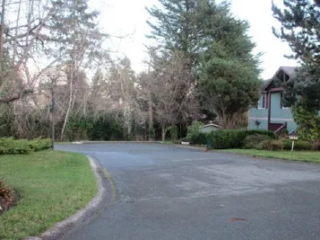 View east from Werra Road down Thomas Park Drive (the site). 182 Werra Road on right of photo.