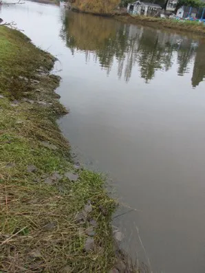 Views of Shoreline