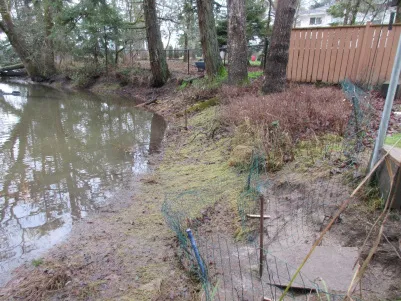 Photo of outfalls (2)