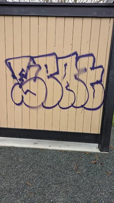 Purple graffiti tag on the wooden slats of a park enclosure