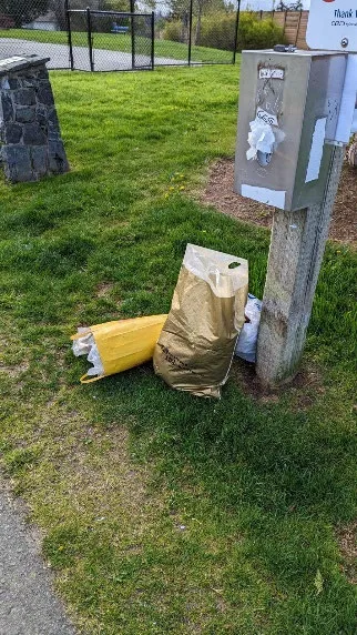 Household garbage dumped in a park