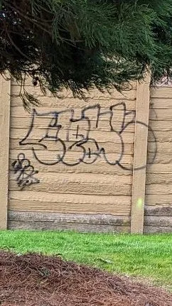 graffiti on the TCH sound barrier wall