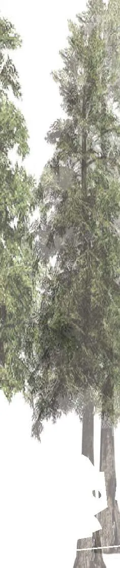 Tree graphic