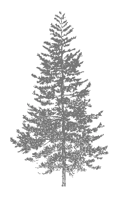 Tree graphic
