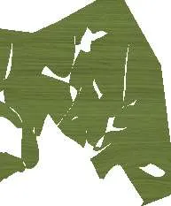 Foliage graphic