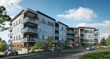 Construction photo for 15 and 17 Erskine Lane