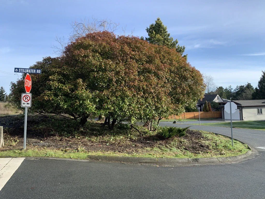 Maintained boulevard area at the corner of Stillwater Road showing pruned vegetation