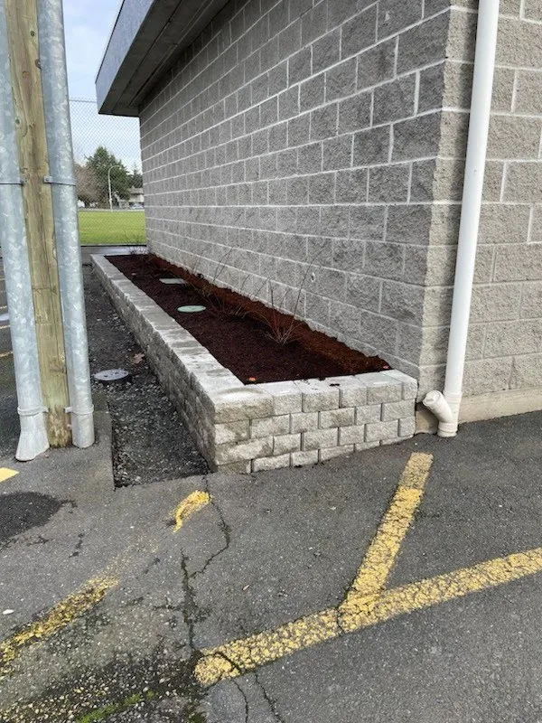 "After" image showing a new stone retaining wall and mulch bed where the hedging was removed