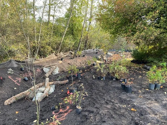 Layout of plants waiting to be planted at View Royal Park