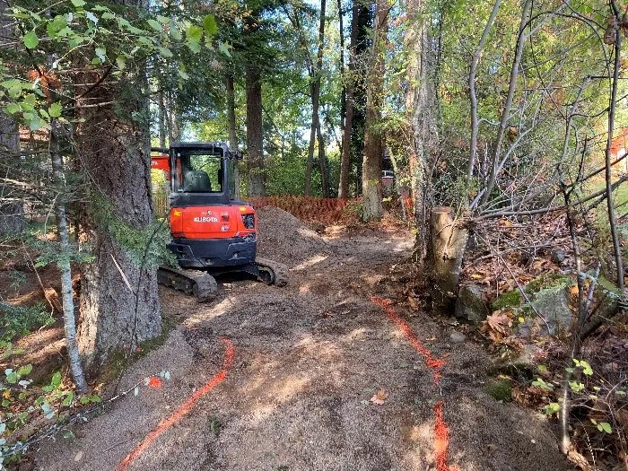 Path clearing with orange spray paint at Knollwood Park playground site