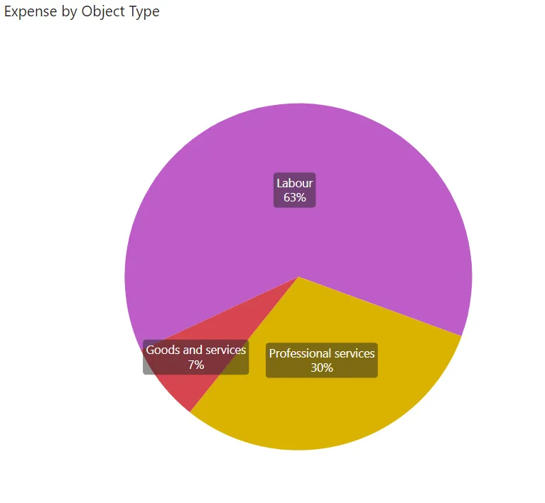 Pie chart titled "Expense by Object Type" showing the following budget allocation: Labour (63%), Professional services (30%), and Goods and services (7%)
