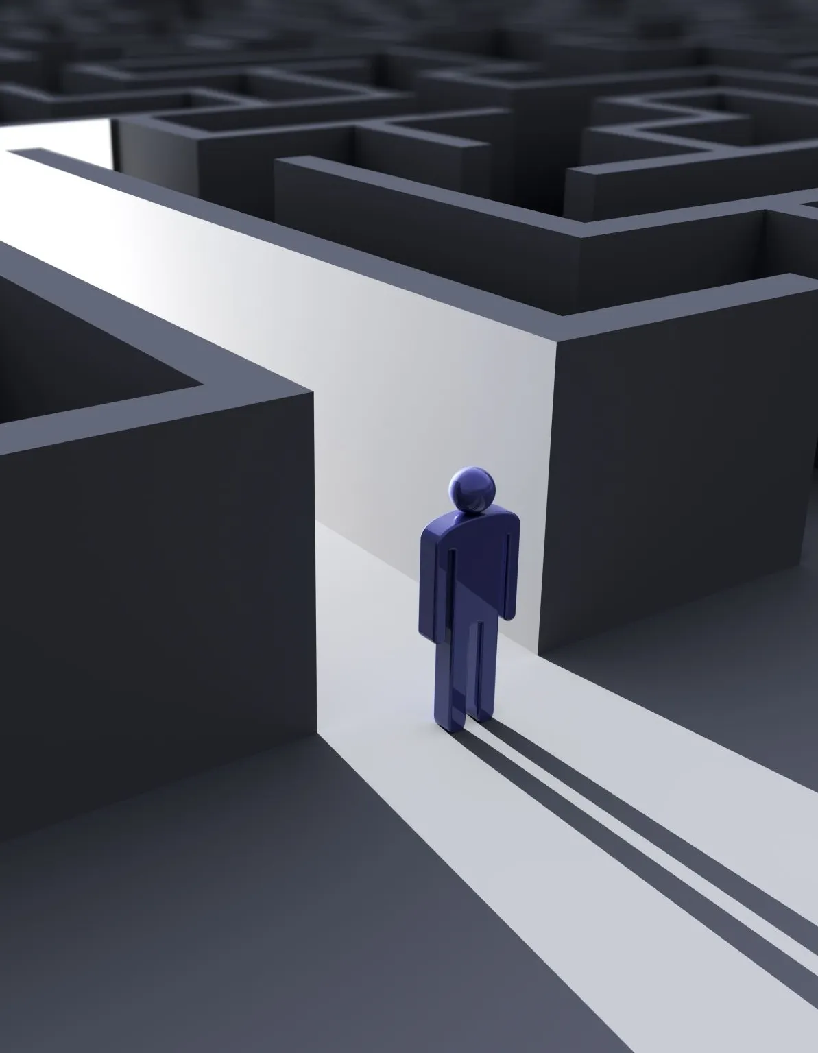 a 3D human figure standing at the entrance to a maze
