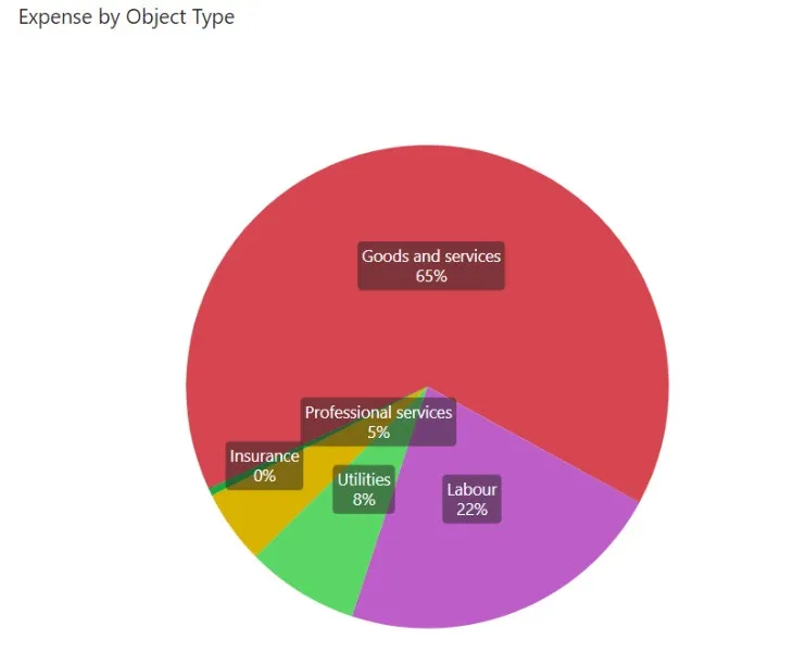 Pie chart titled "Expense by Object Type" showing: Goods and services 65%, Labour 22%, Utilities 8%, Professional services 5%, Insurance 0%