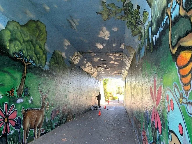 Atkins Road/Chilco Road connector tunnel mural