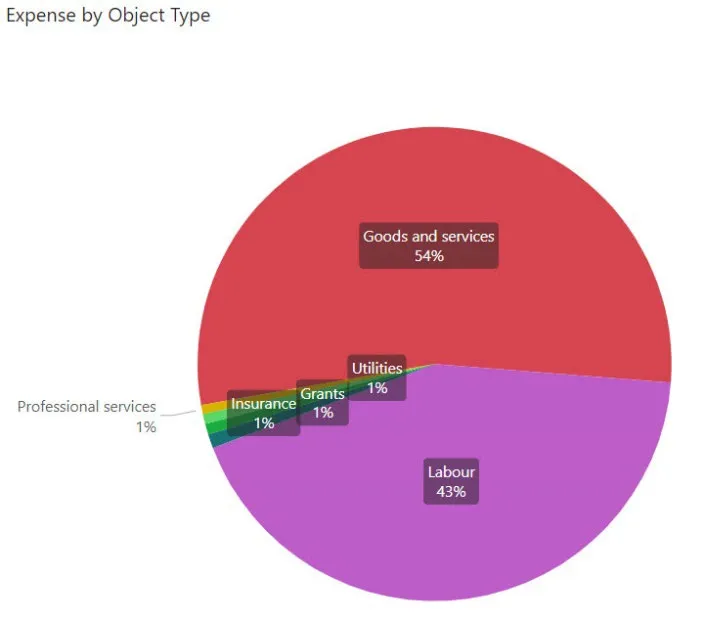 Pie chart showing Protective Services Expense by Object Type: Goods and services 54%, Labour 43%, Utilities 1%, Grants 1%, Insurance 1%, and Professional services 1%