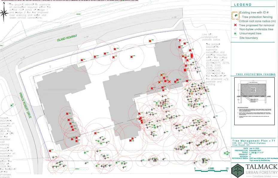 Conceptual Tree Management Plan map showing existing trees, those proposed for removal, and tree protection areas.
