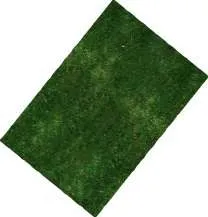 Detailed concept landscape plan showing amenites and naturalized perimeters