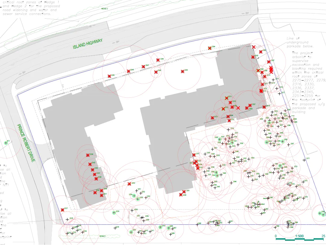 Tree impact map showing existing trees and those proposed for removal relative to the proposed building footprint