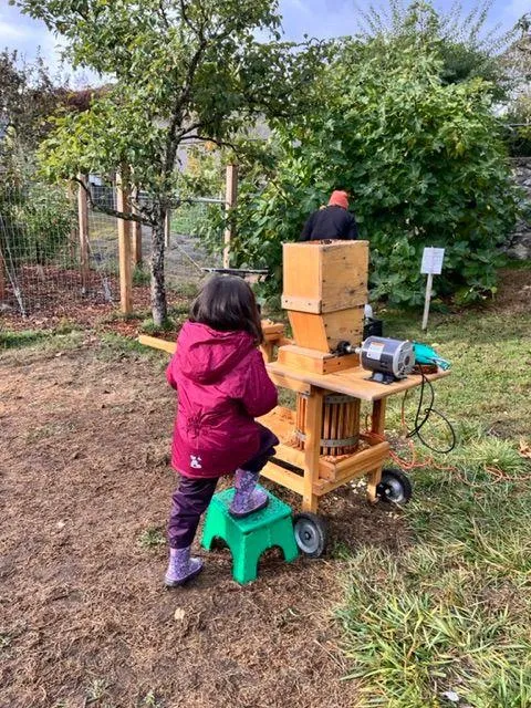 A young child in a pink jacket standing on a step stool to operate a wooden apple press in the orchard.