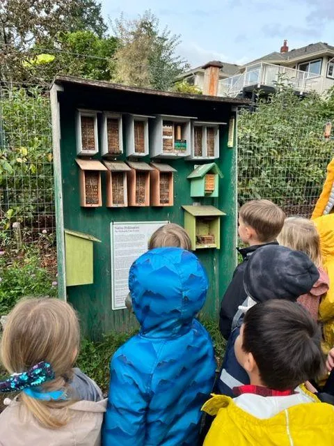 A group of children looking at a large "Native Pollinators" bee house structure attached to a green shed.