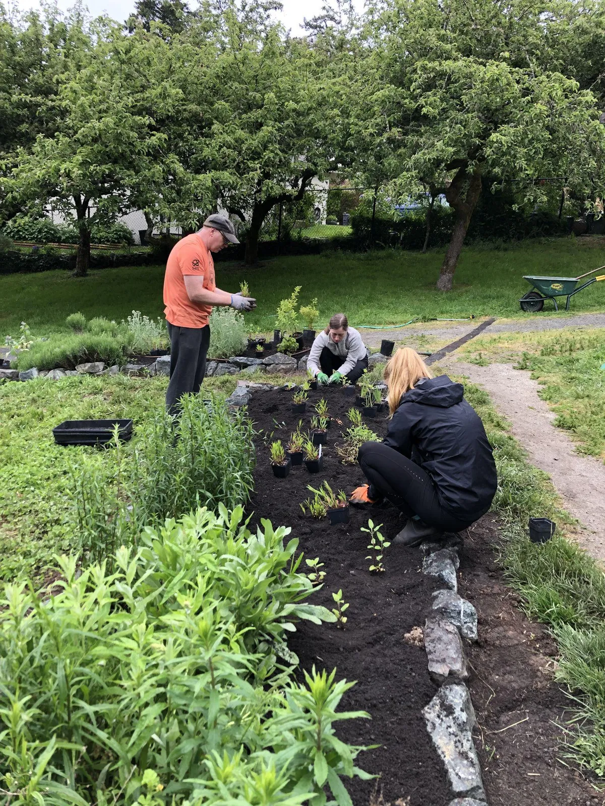 Volunteers planting new greenery in a garden bed edged with a decorative stone border.