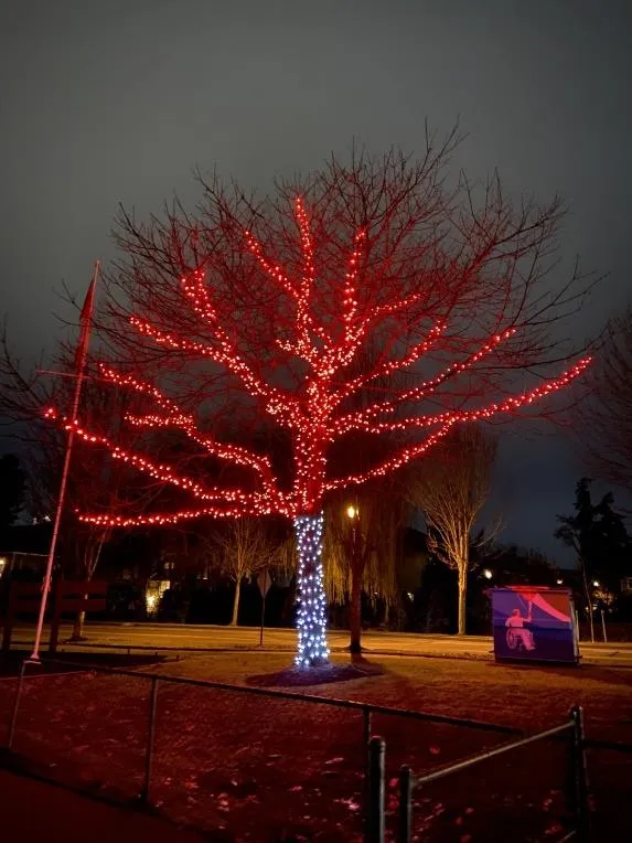 Red Christmas light decorations on a tree