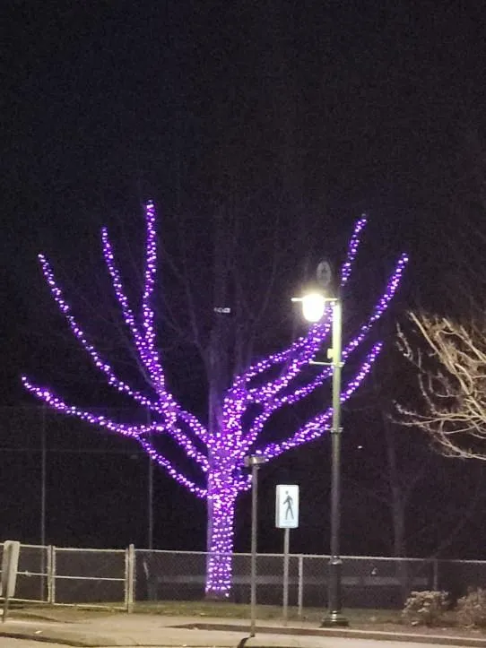 Purple Christmas light decorations on a tree