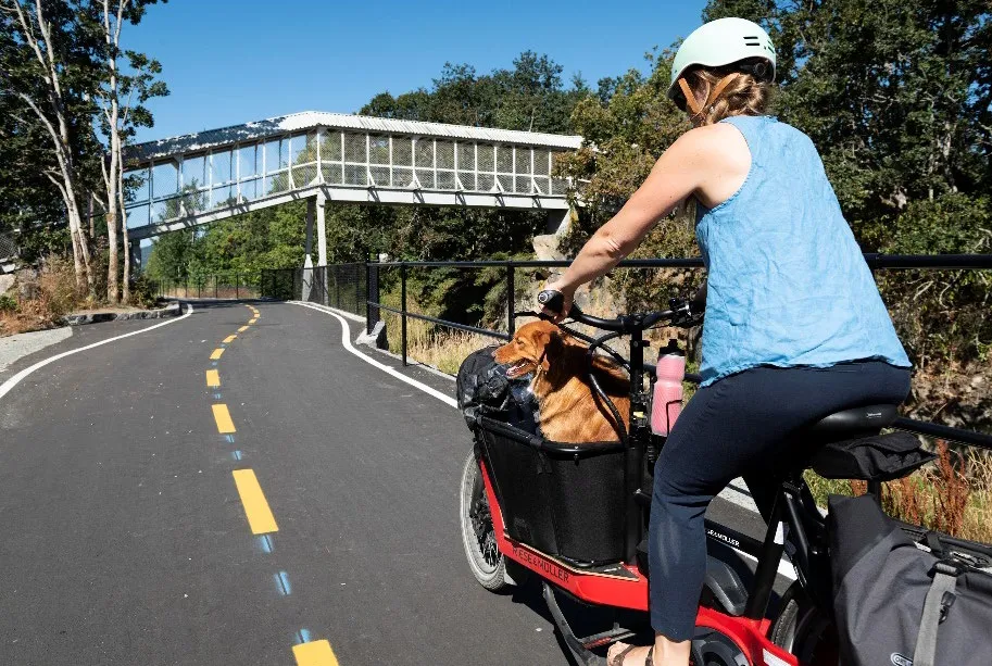 Person riding a cargo bike with a dog on a paved trail