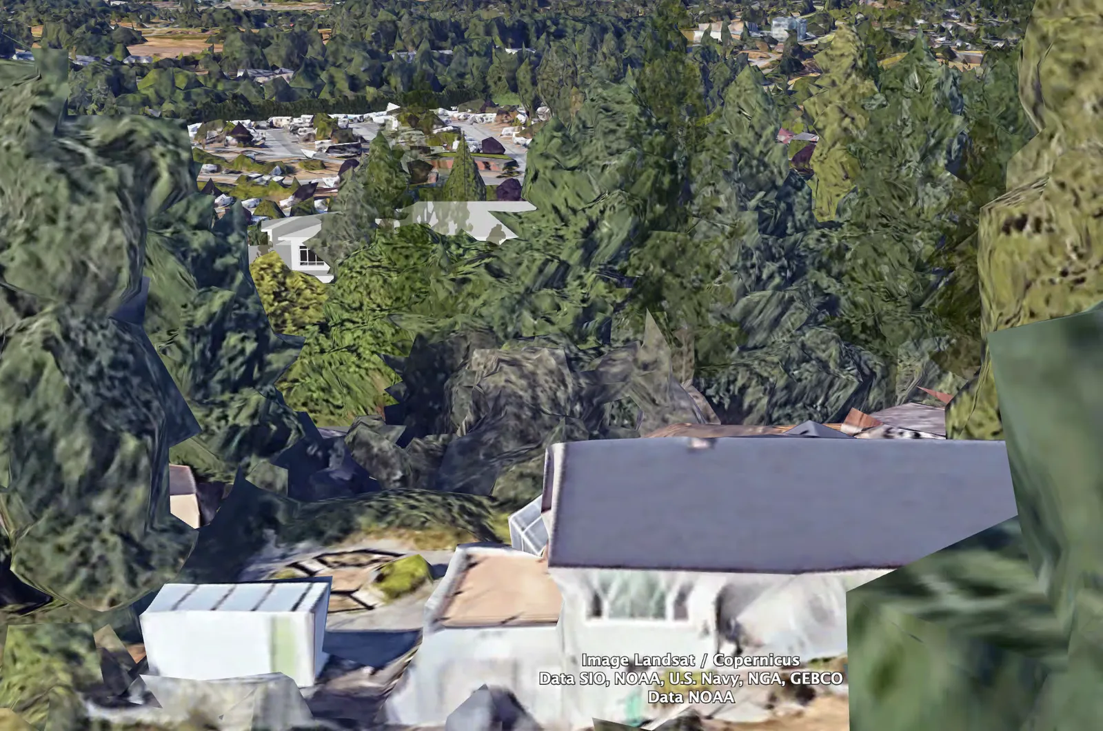 Google Earth rendering of the project site and surrounding neighbourhood trees