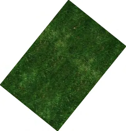 Landscaping texture sample showing green grass