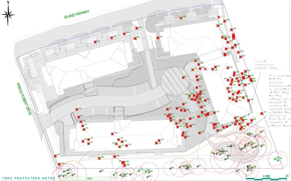 Tree impact assessment site plan showing proposed building footprints and tree inventory/protection symbols
