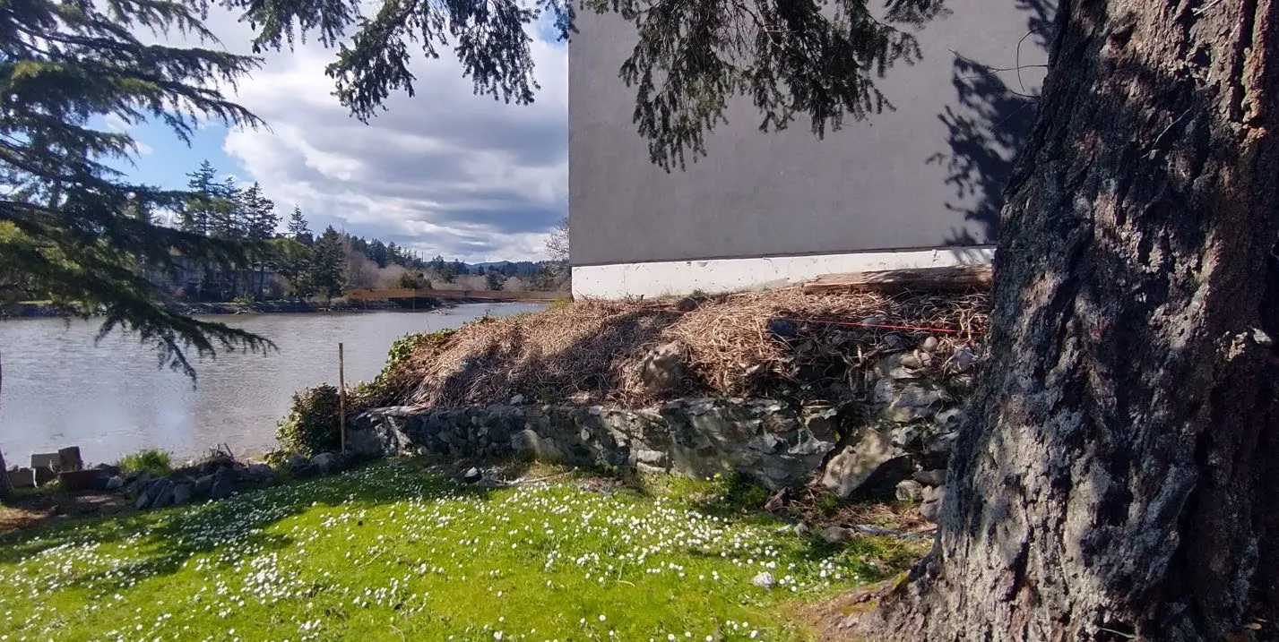 Figure 7. Photo of existing retaining wall on shared property line from neighboring property