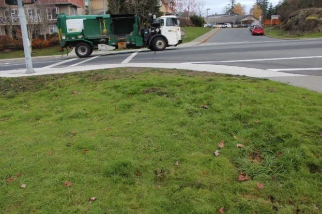 Photo of the work site area on Talcott Road next to a street