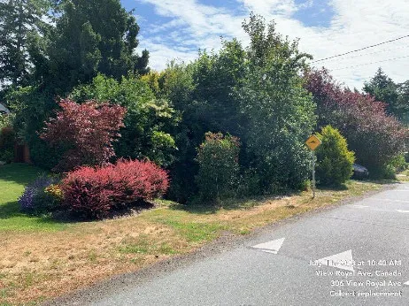 Before photo of the View Royal Avenue culvert location showing dense vegetation