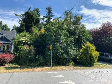 Another before photo of the overgrown project area at 306 View Royal Ave