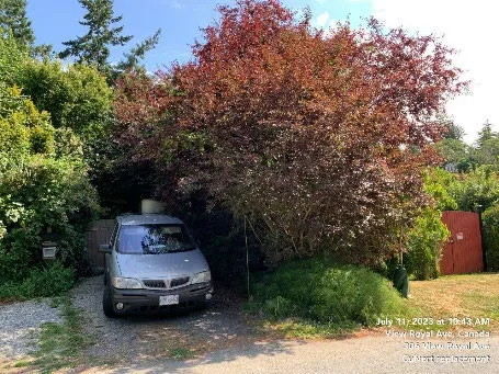Before photo of the site with a silver van parked nearby
