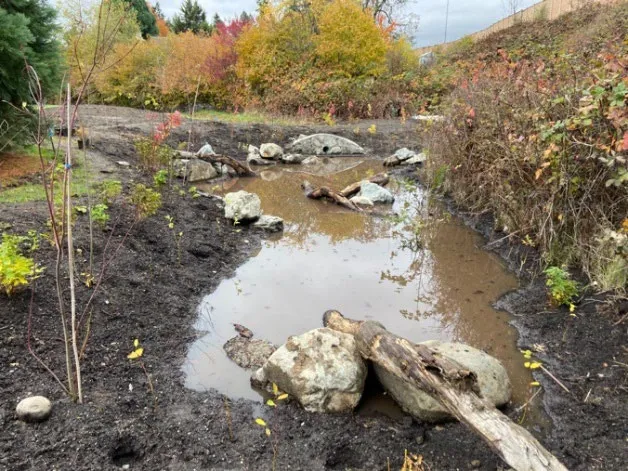 Photo of the west side of the project showing a bioswale filled with water