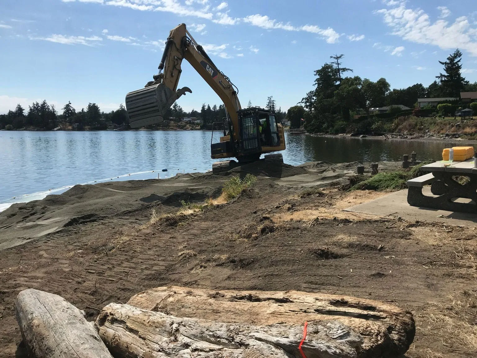 Volunteers planting native vegetation in the newly restored beach sediment