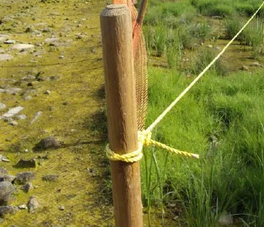 Side-by-side photos from June 2005 and April 2010 showing the rapid disappearance of marsh grass