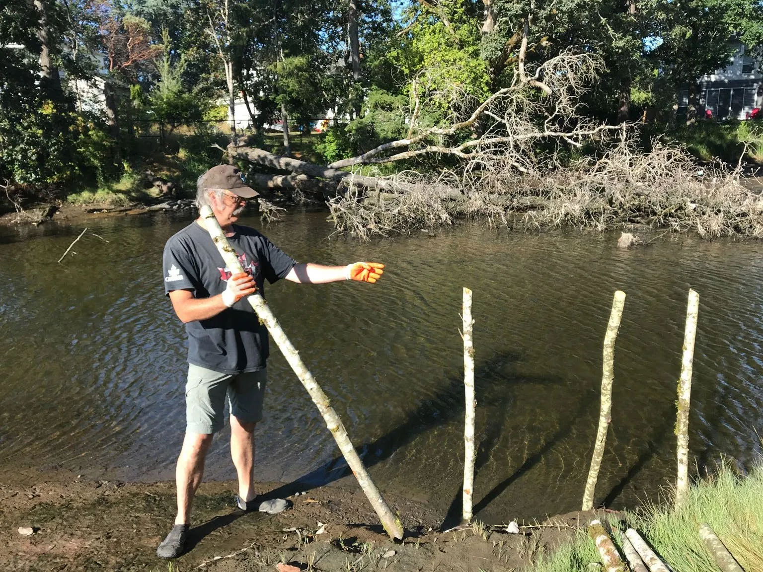 Photo of a person installing a wooden stake into the ground at a restoration site