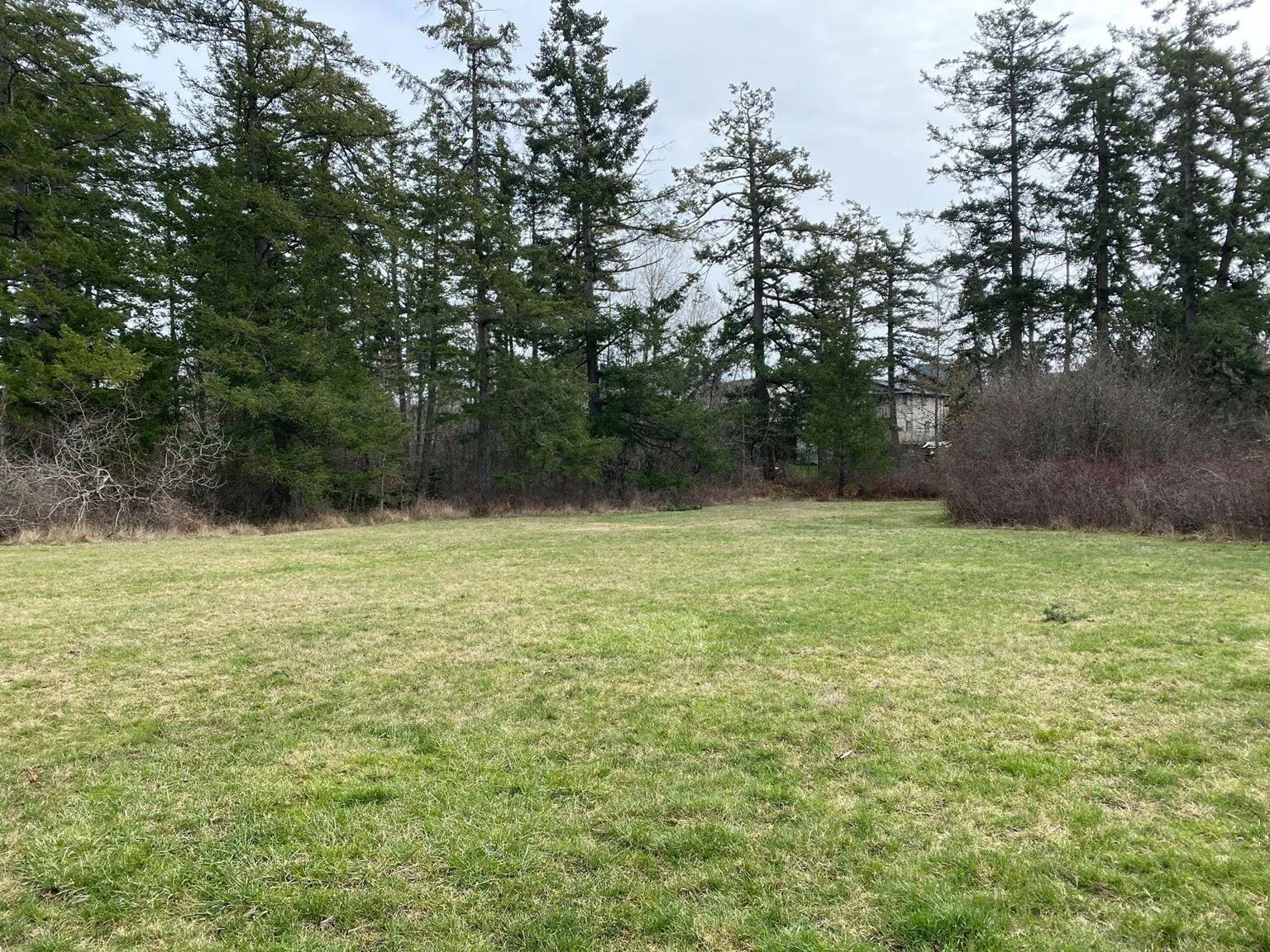 Photo of a park field with a diagram overlay showing proposed habitat features and movements