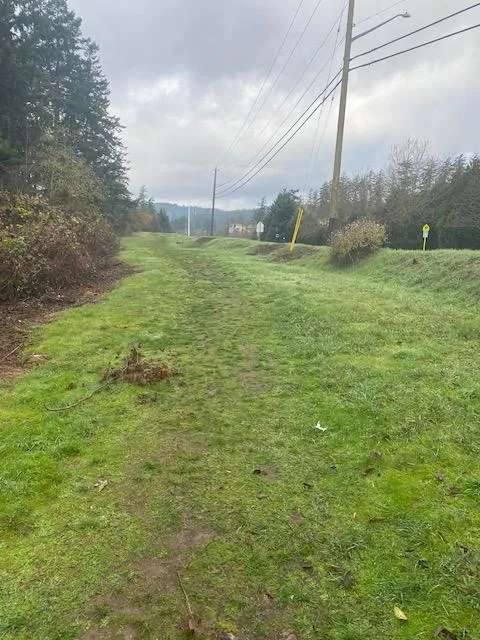 Grassy path along a utility corridor with overhead power lines.