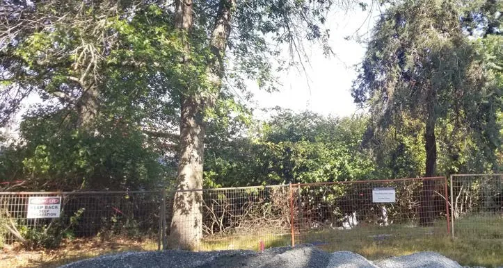 Close-up of modular steel panel tree protection fencing with a "DANGER" sign attached.