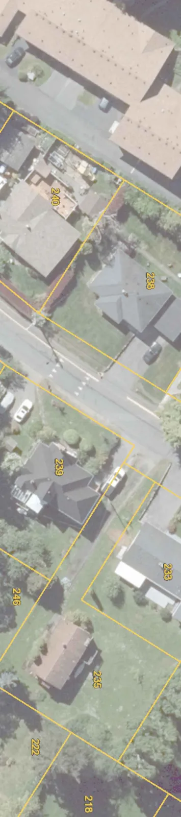 Detailed aerial view of the northeastern section of the project area, including properties 240, 238, 233, 239, 235, 246, 222, and 218.