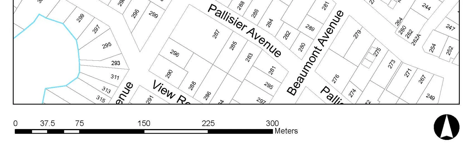 Lower portion of the Subject Property Map showing Pallisier Avenue, View Road, and a distance scale in meters