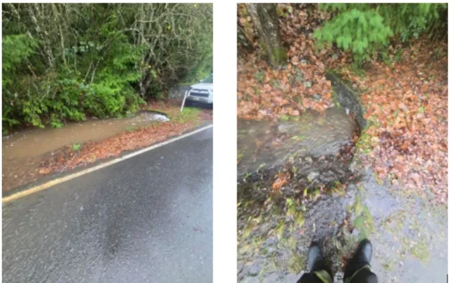 Two photos showing a flooded roadside ditch and water flowing near a wooded area